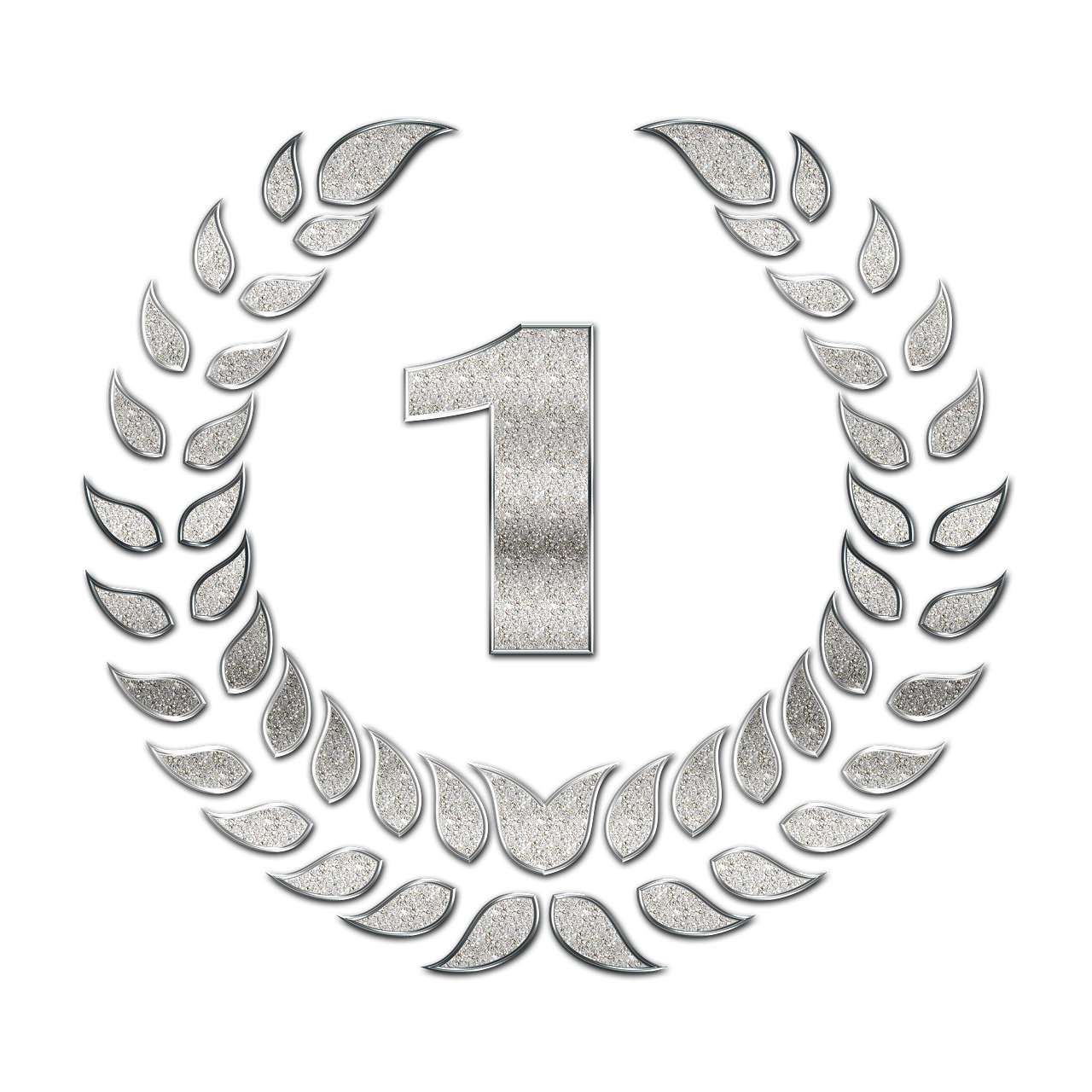 1 reconocimiento